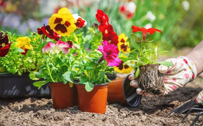 Gardening