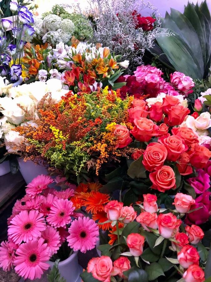 bouquet of flowers