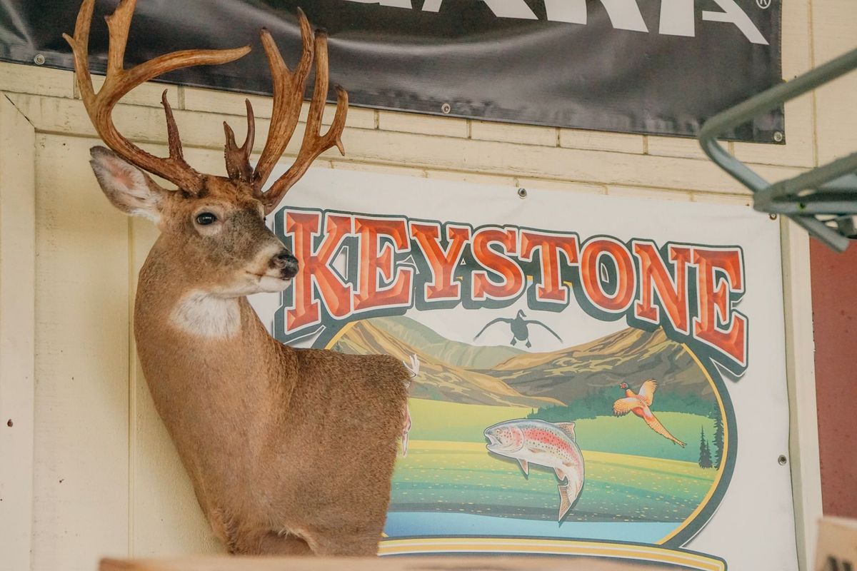 Buck with Keystone sign