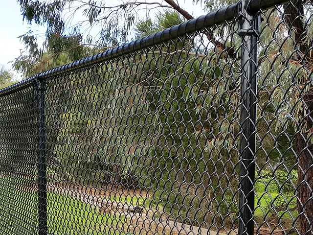Chain-link fence beside a dirt path with trees and greenery in the background