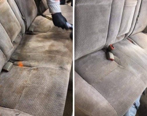 professional detailing remove pet hair from cars