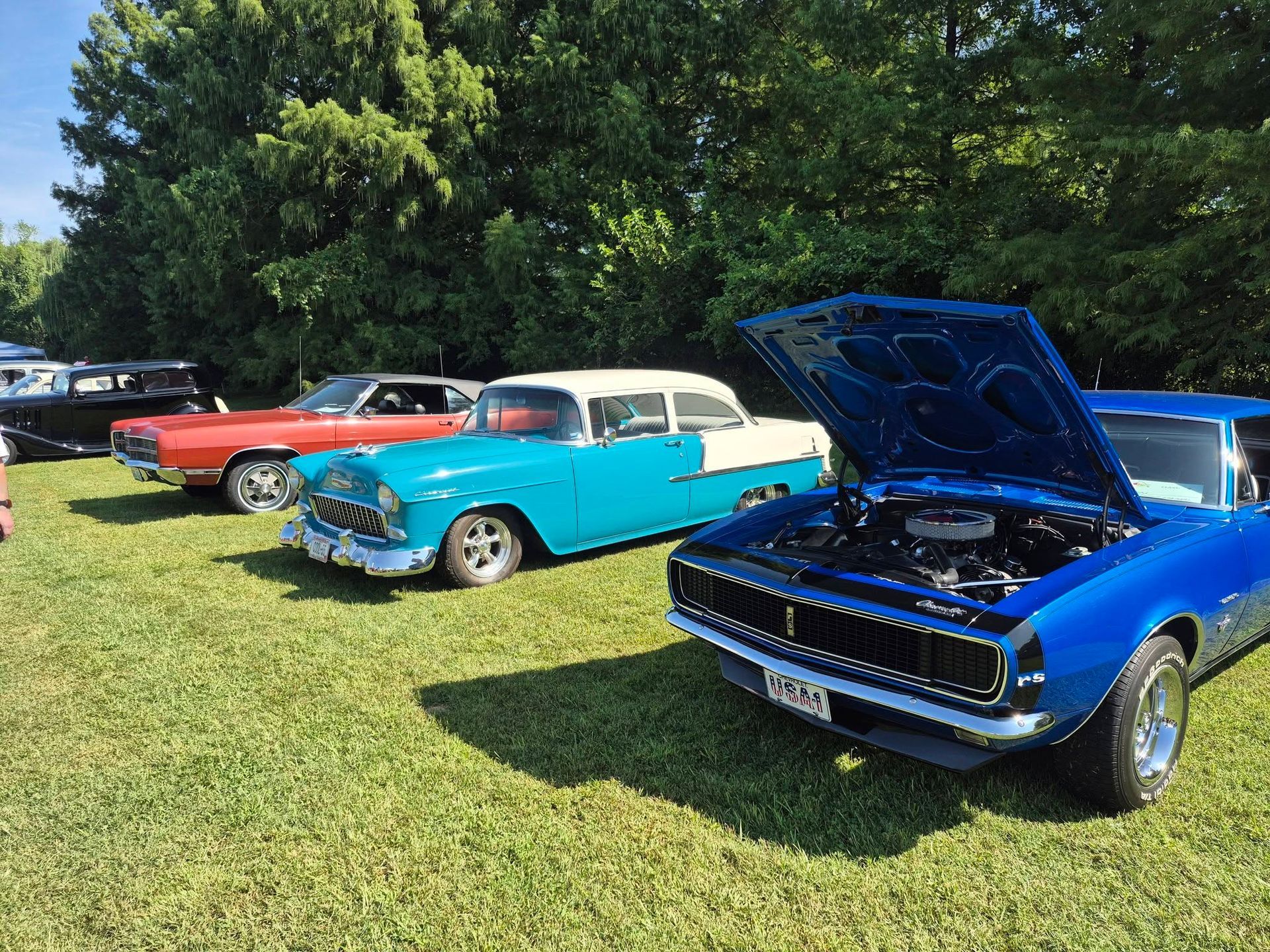 show cars