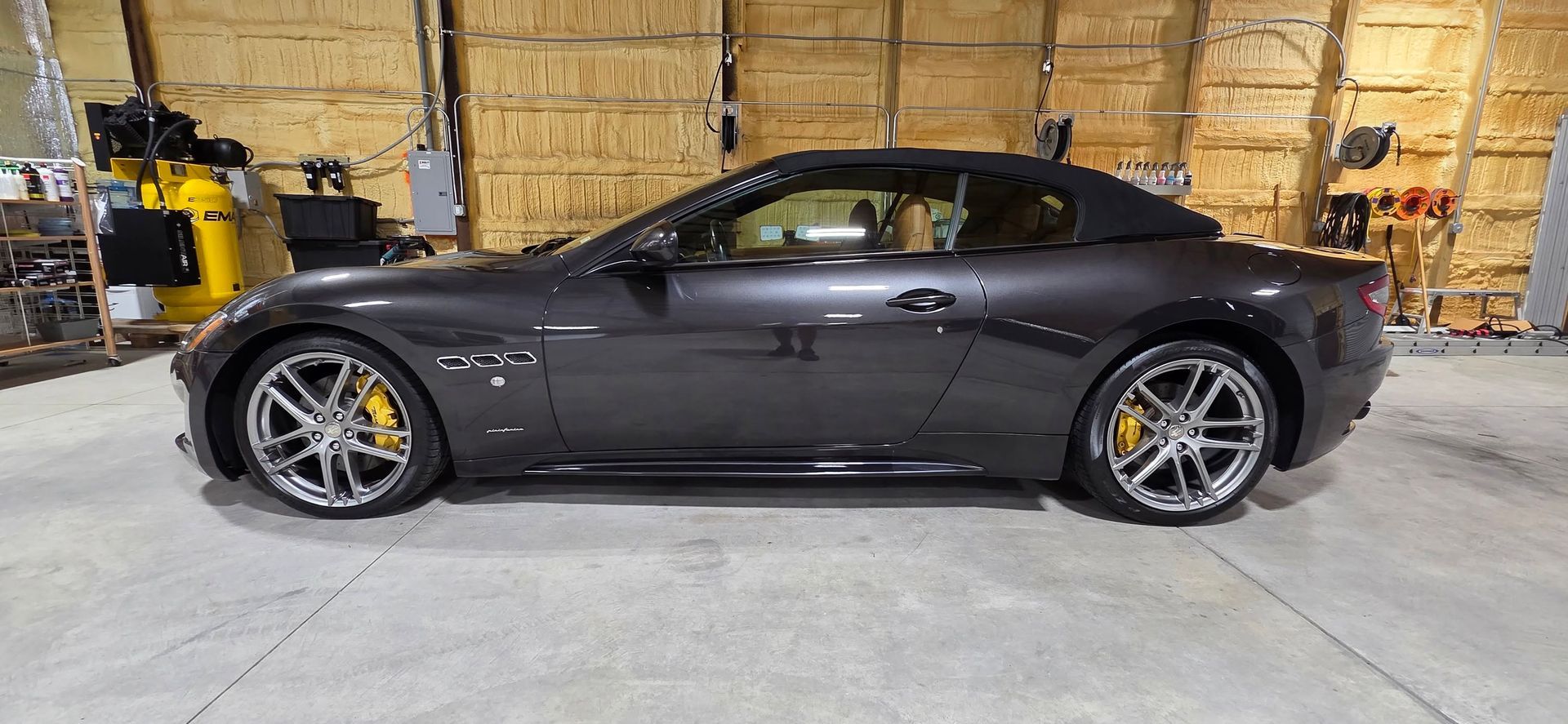 Professional Paint Correction