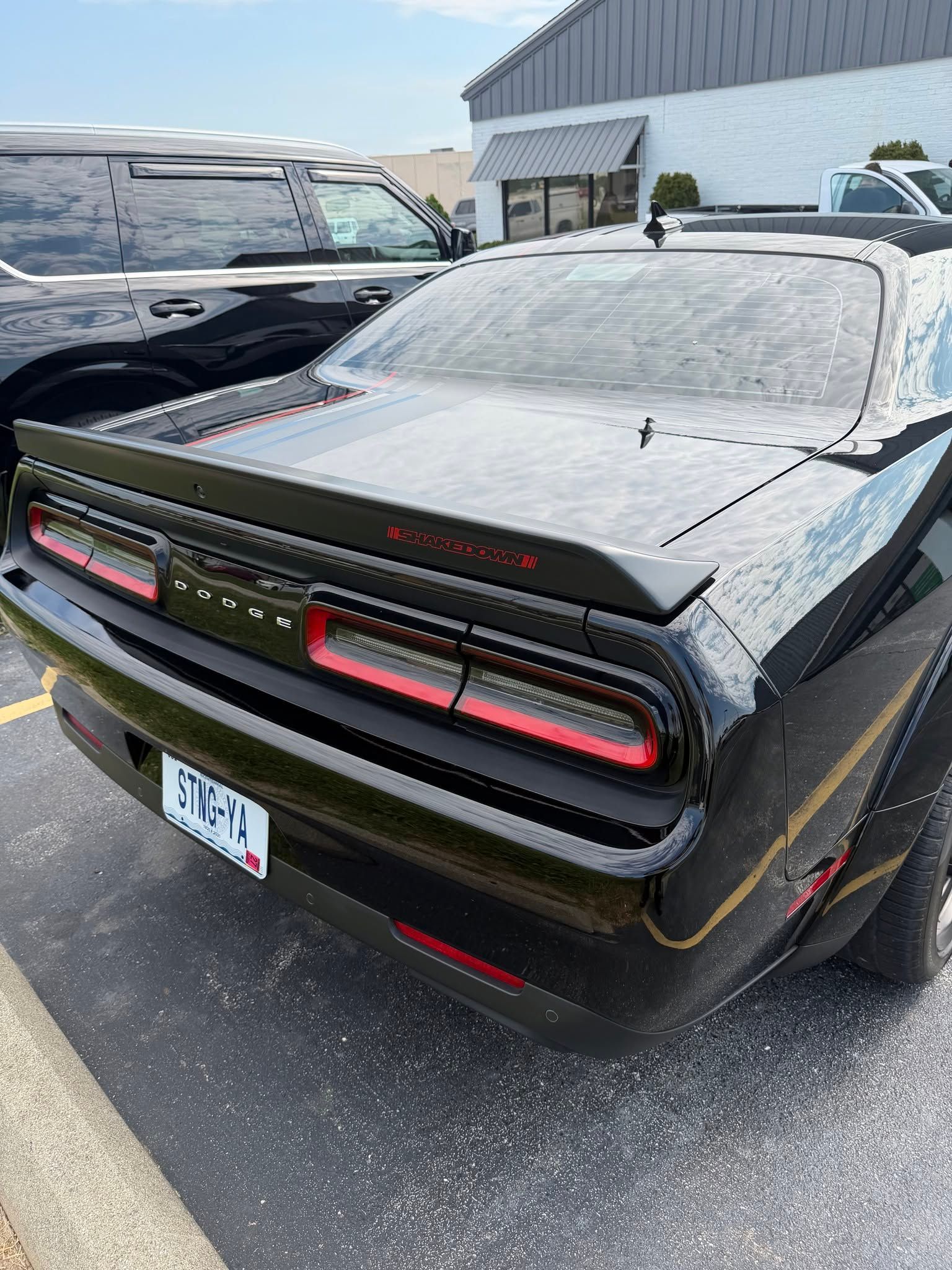 paint protection