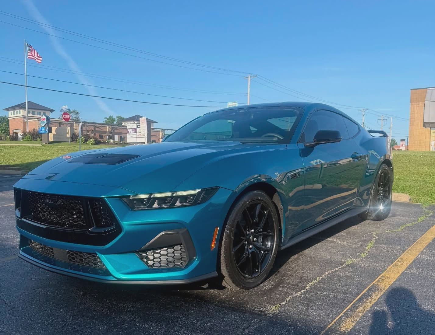 Dark Horse Mustang ceramic coating