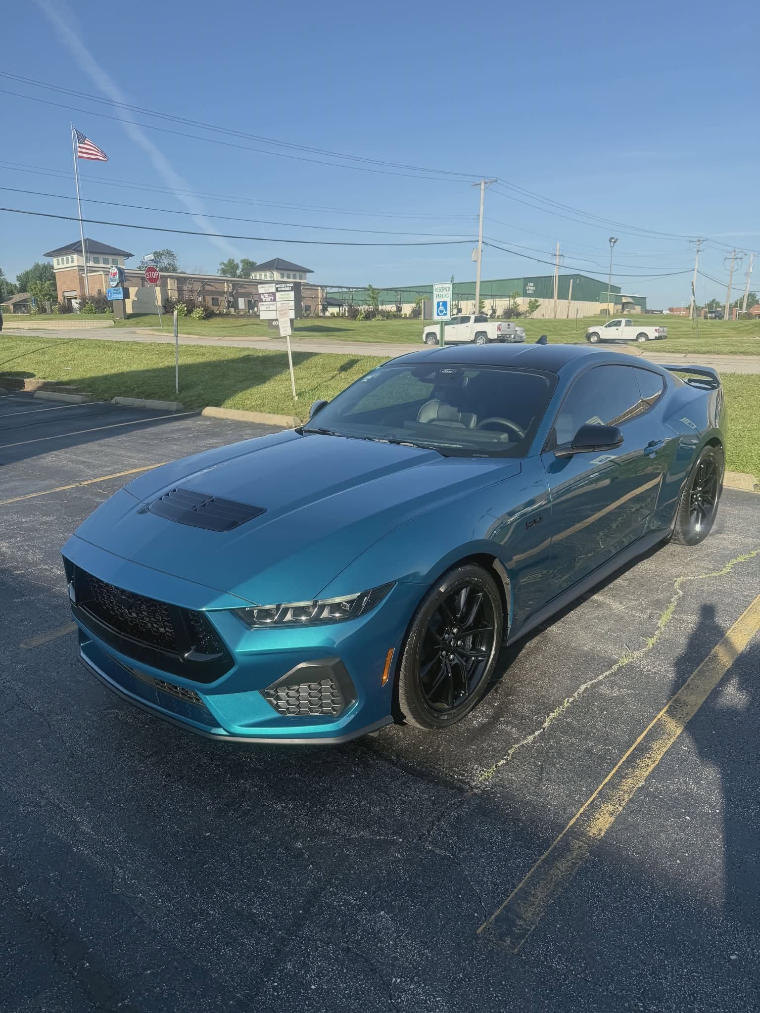 detail 360 mustang