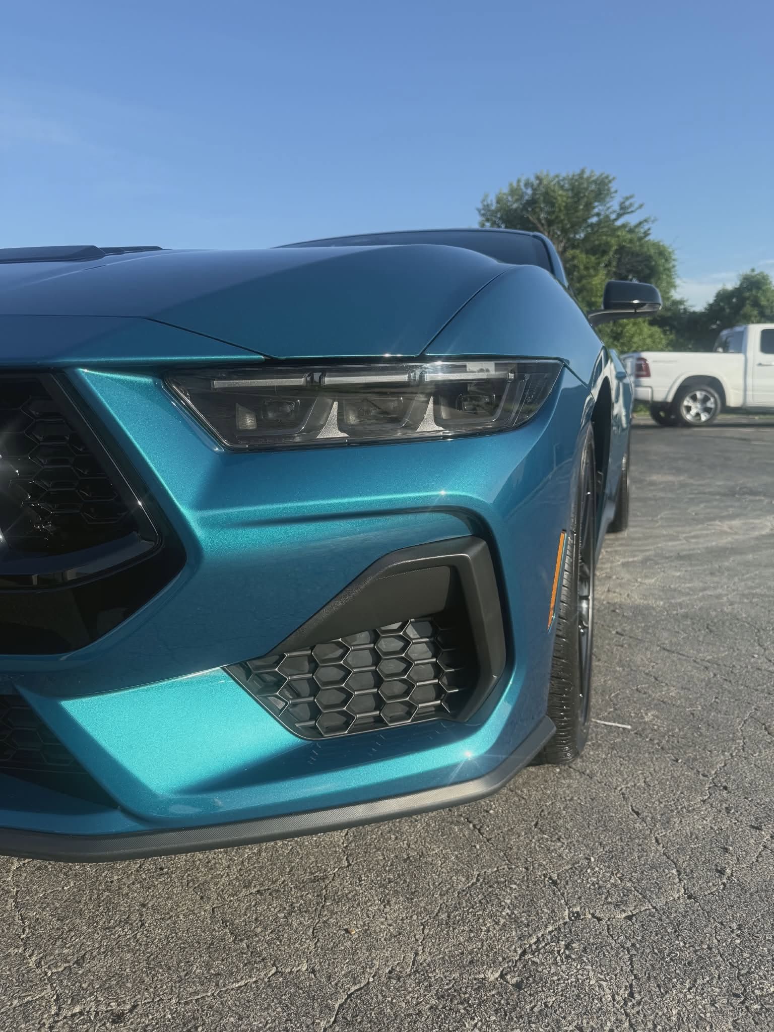 dark horse mustang ceramic coating