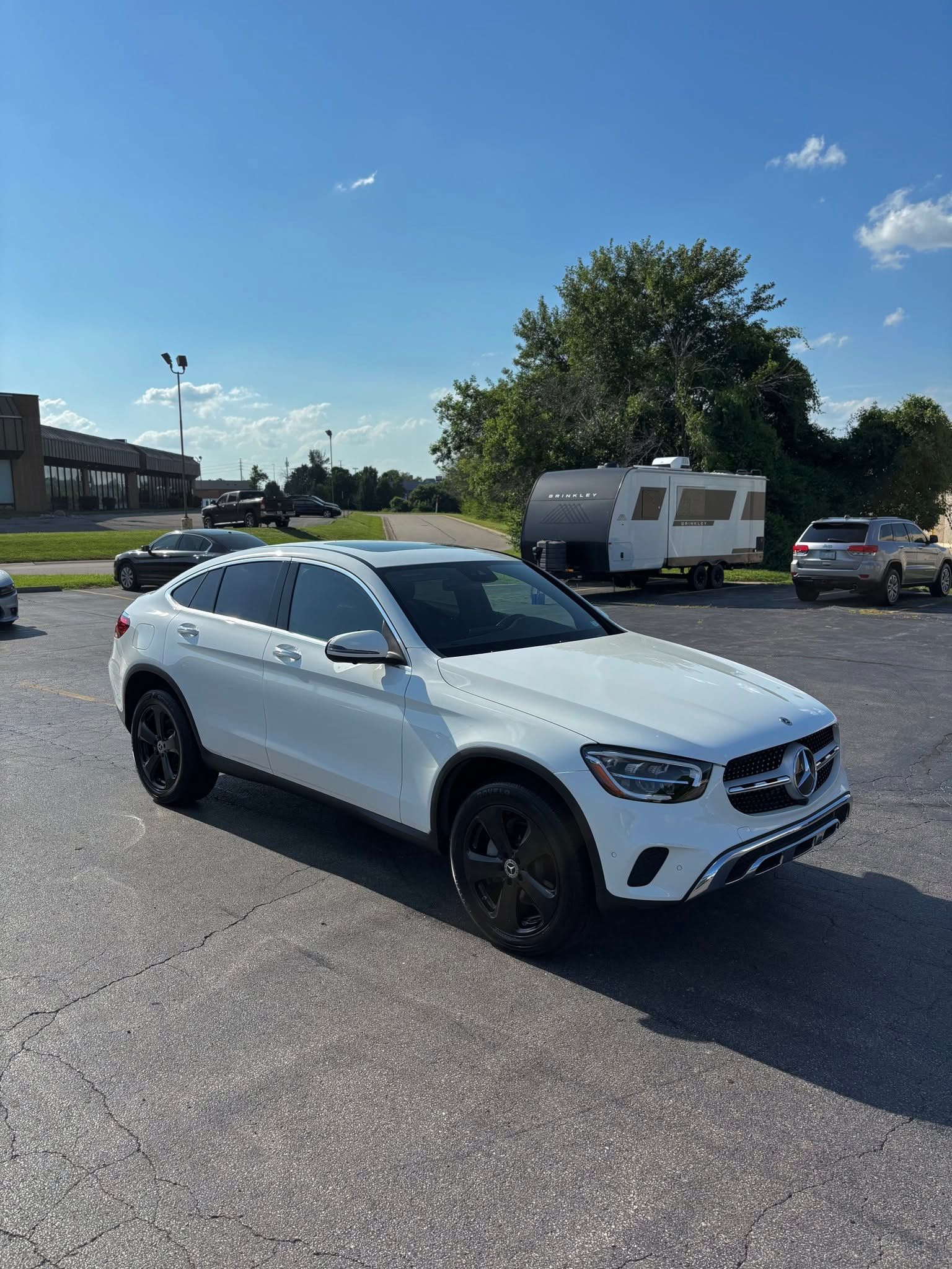 Professional Auto Detailing