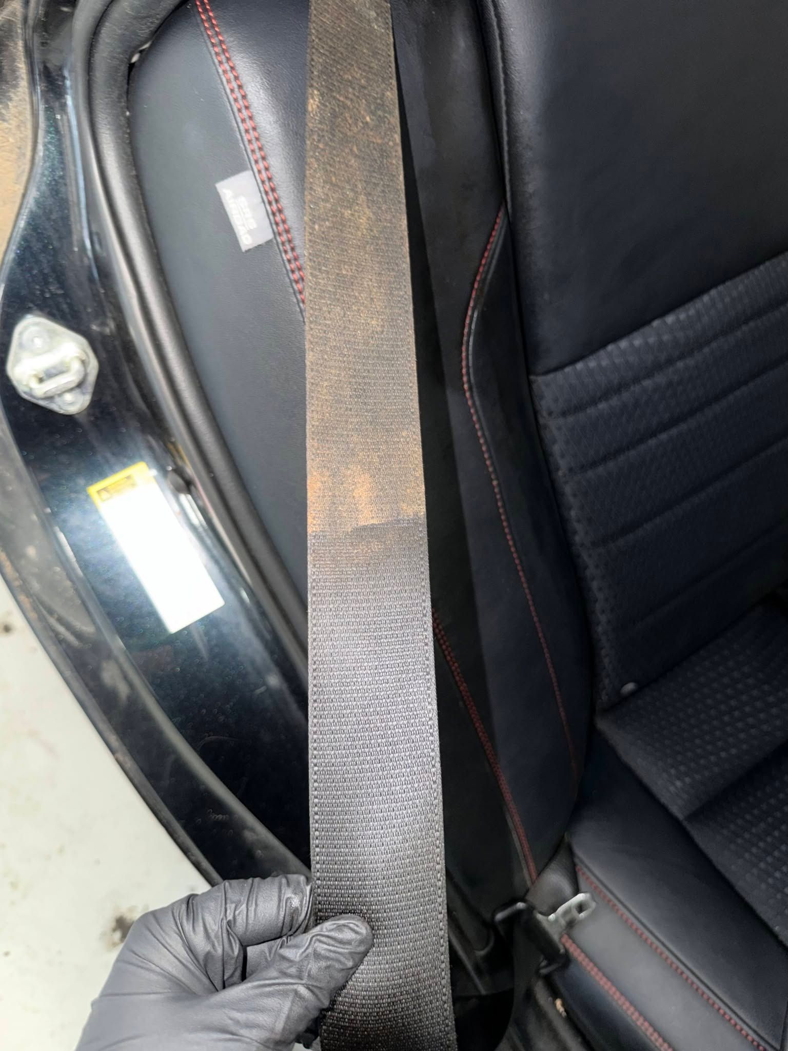interior mold cleaning