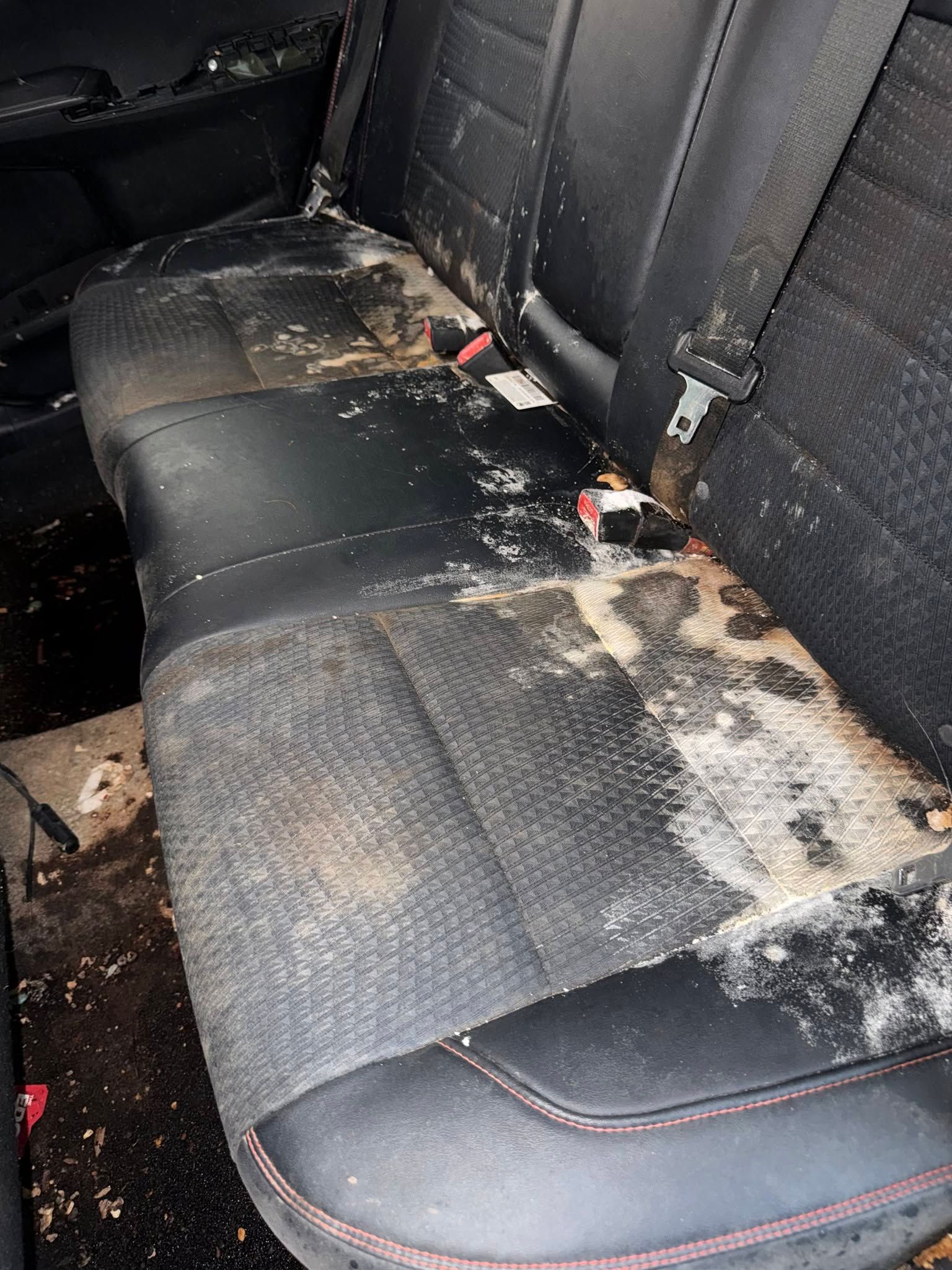 interior detailing