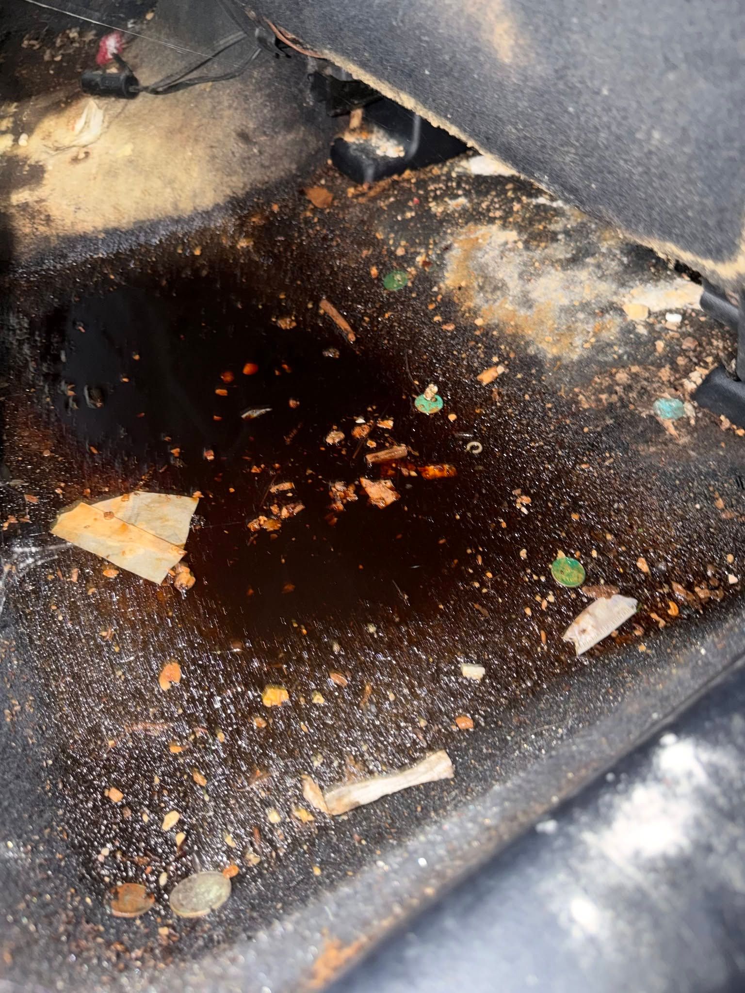 vehicle mold removal