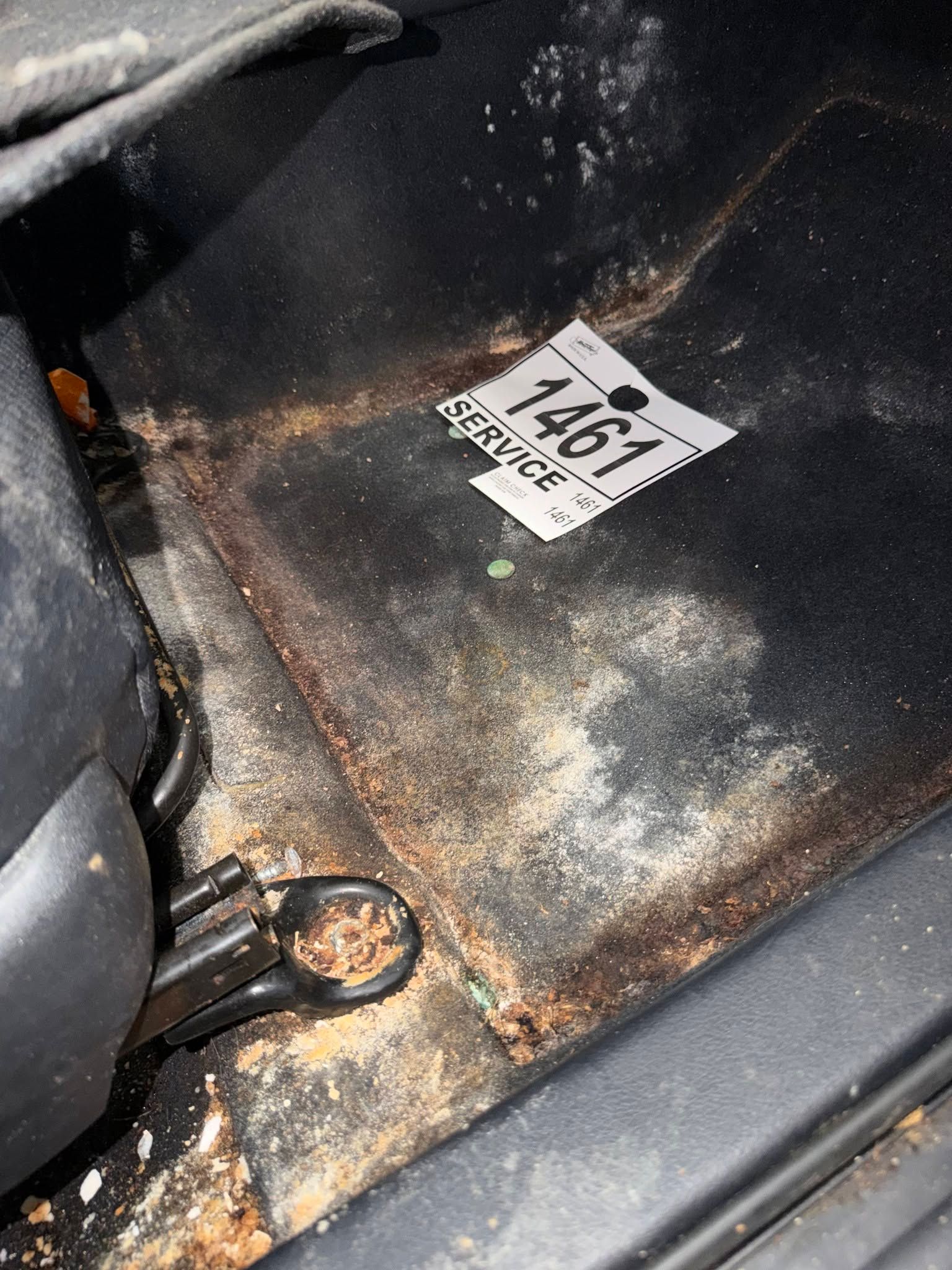 mold in car interior