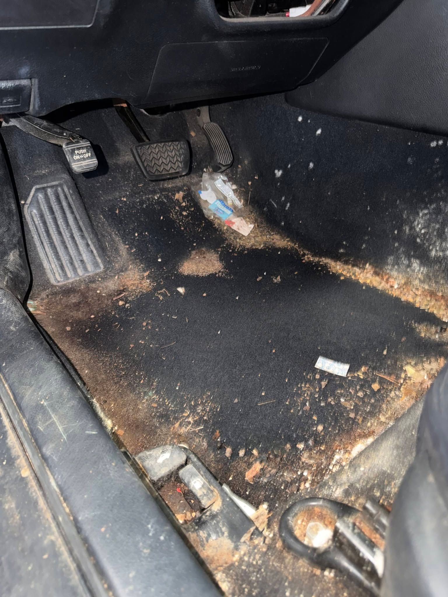car mold remediation