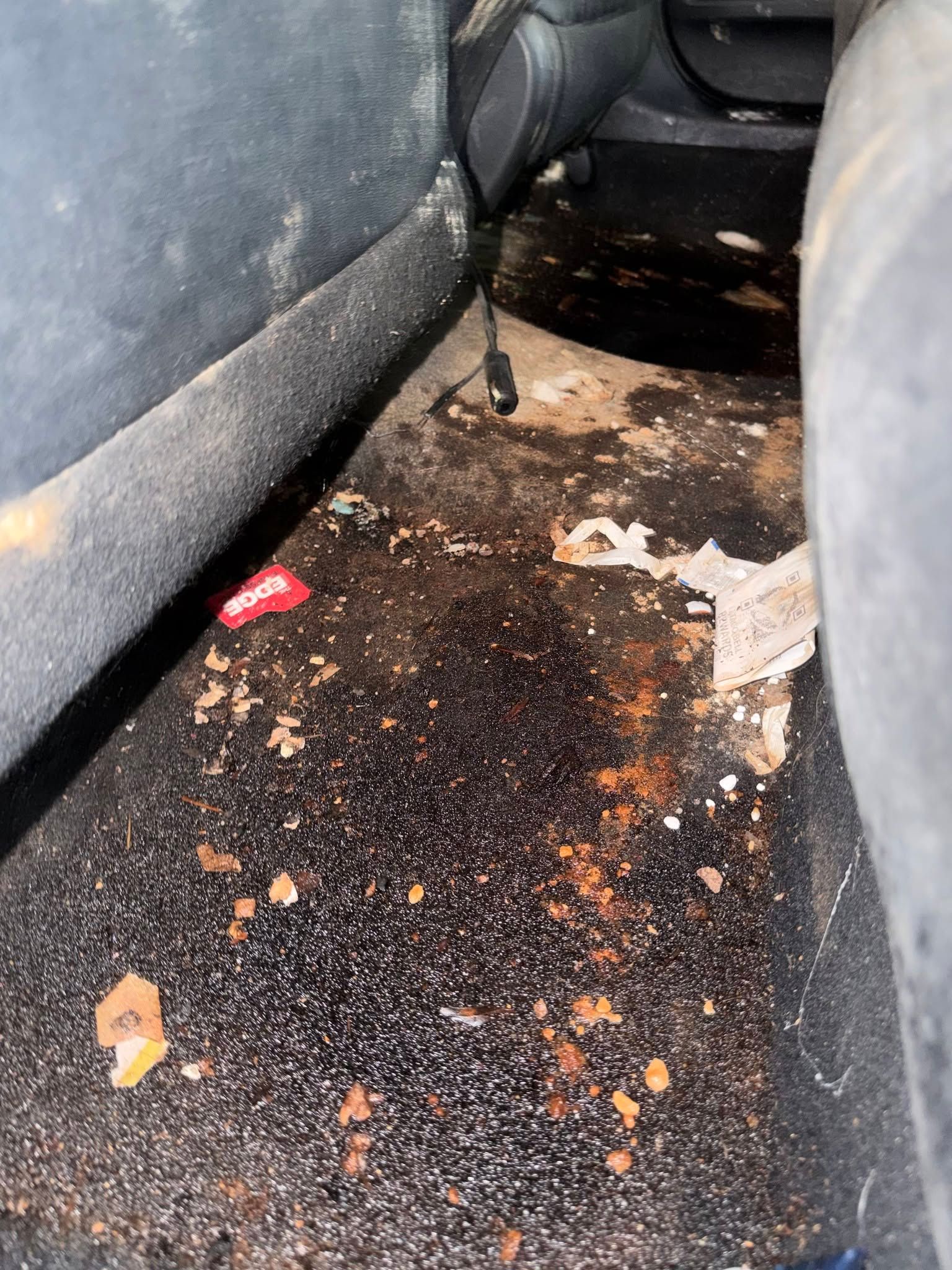 car mold remediation