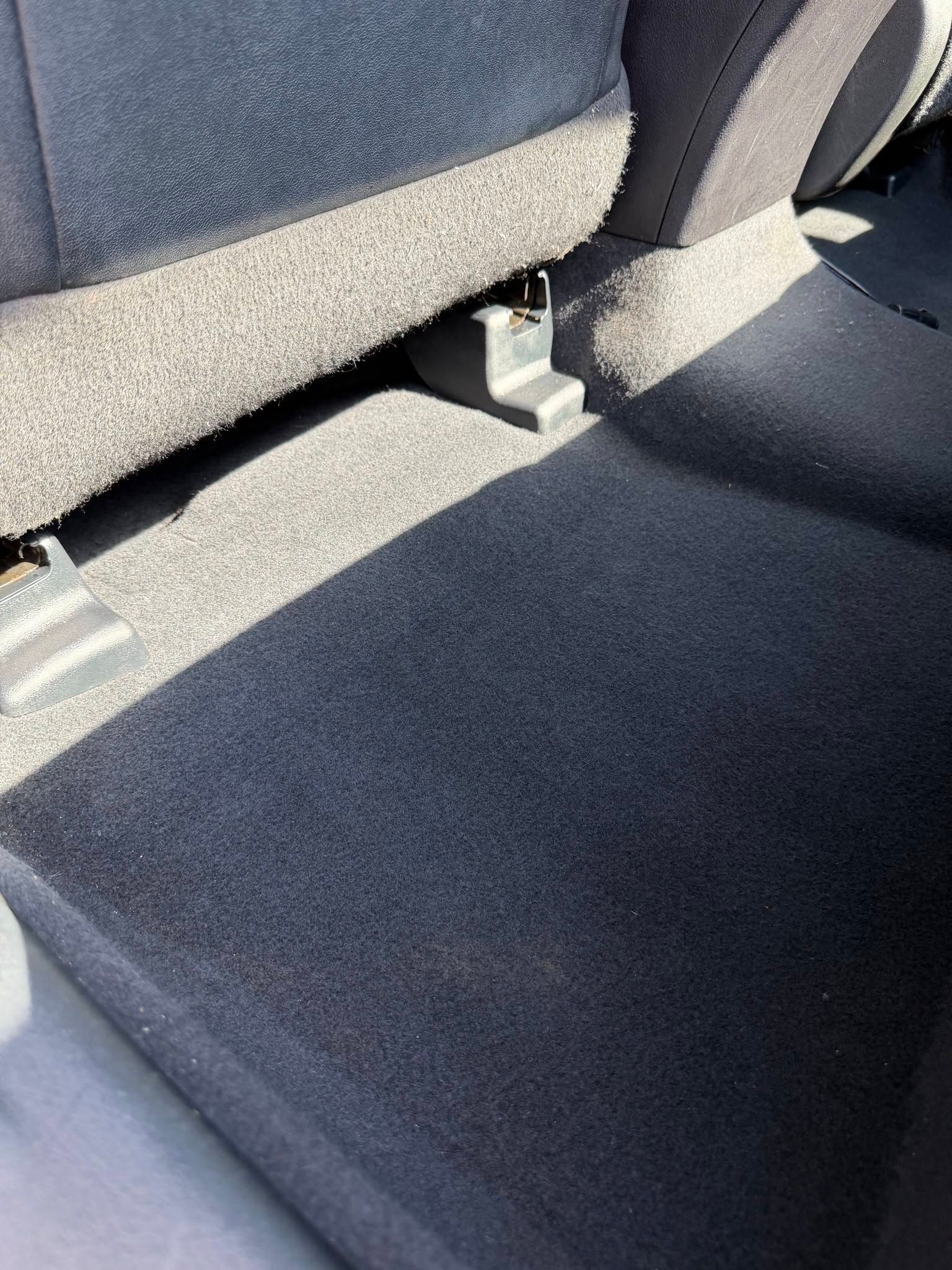mold removal from car