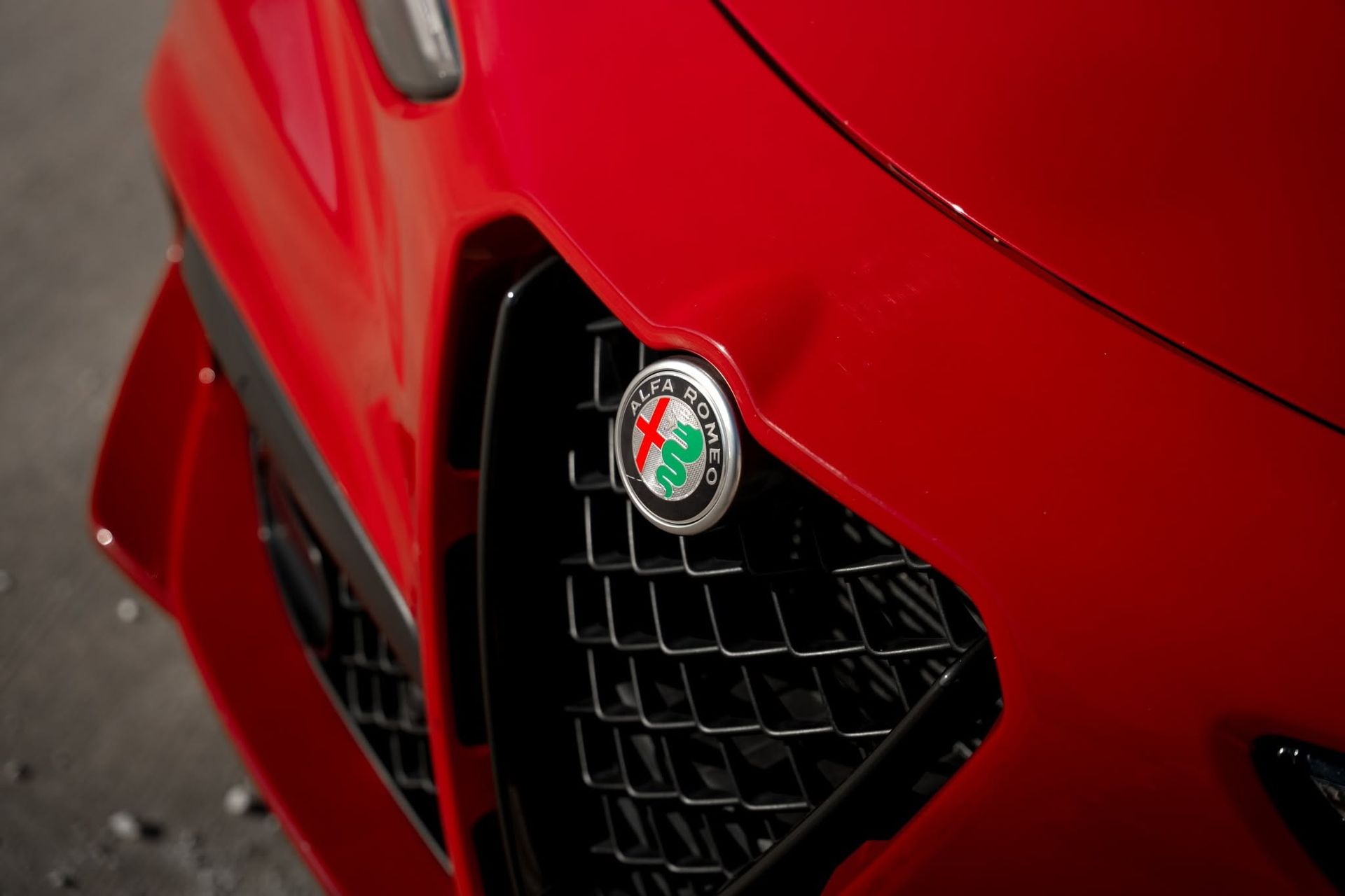 Paint Protection