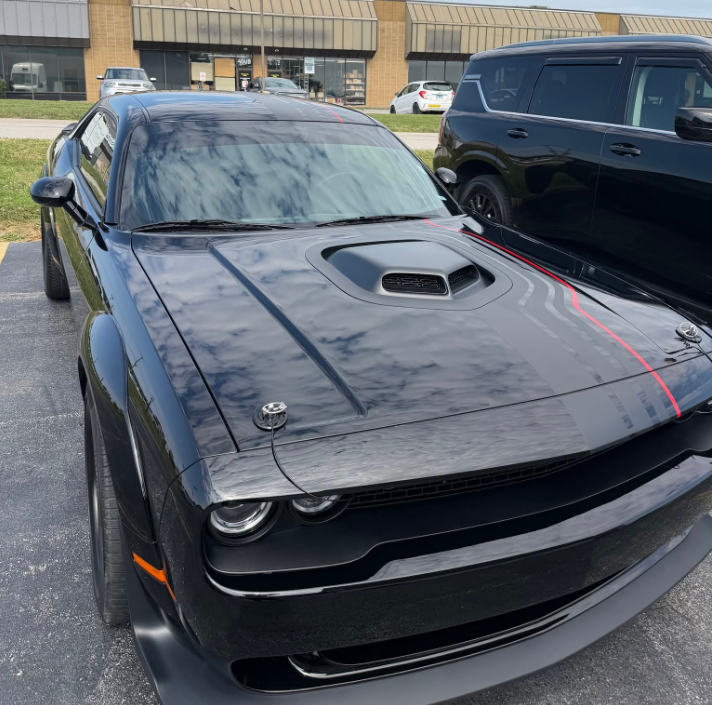  mold removal from car