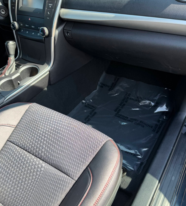  mold removal from car