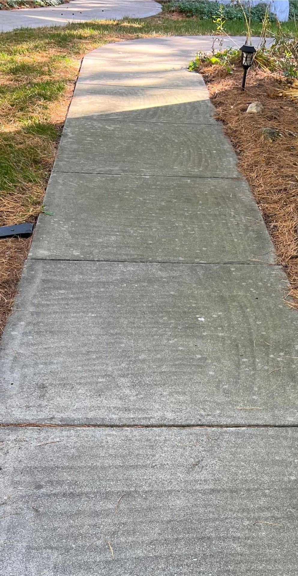 Concrete sidewalk leading through a landscaped yard with grass and mulch borders