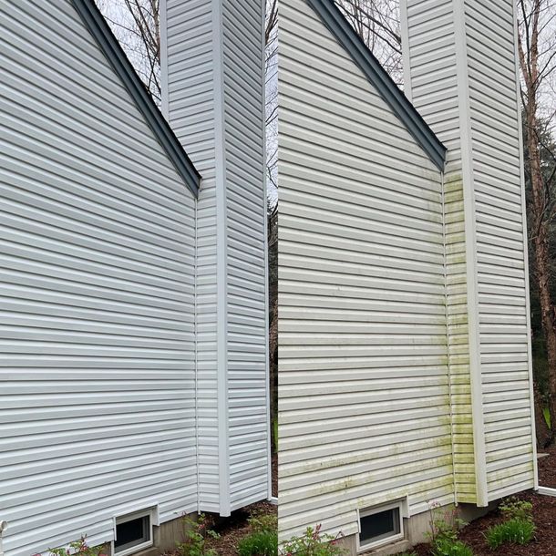 White vinyl house siding with yellow-green mildew stains near the foundation and a downspout corner
