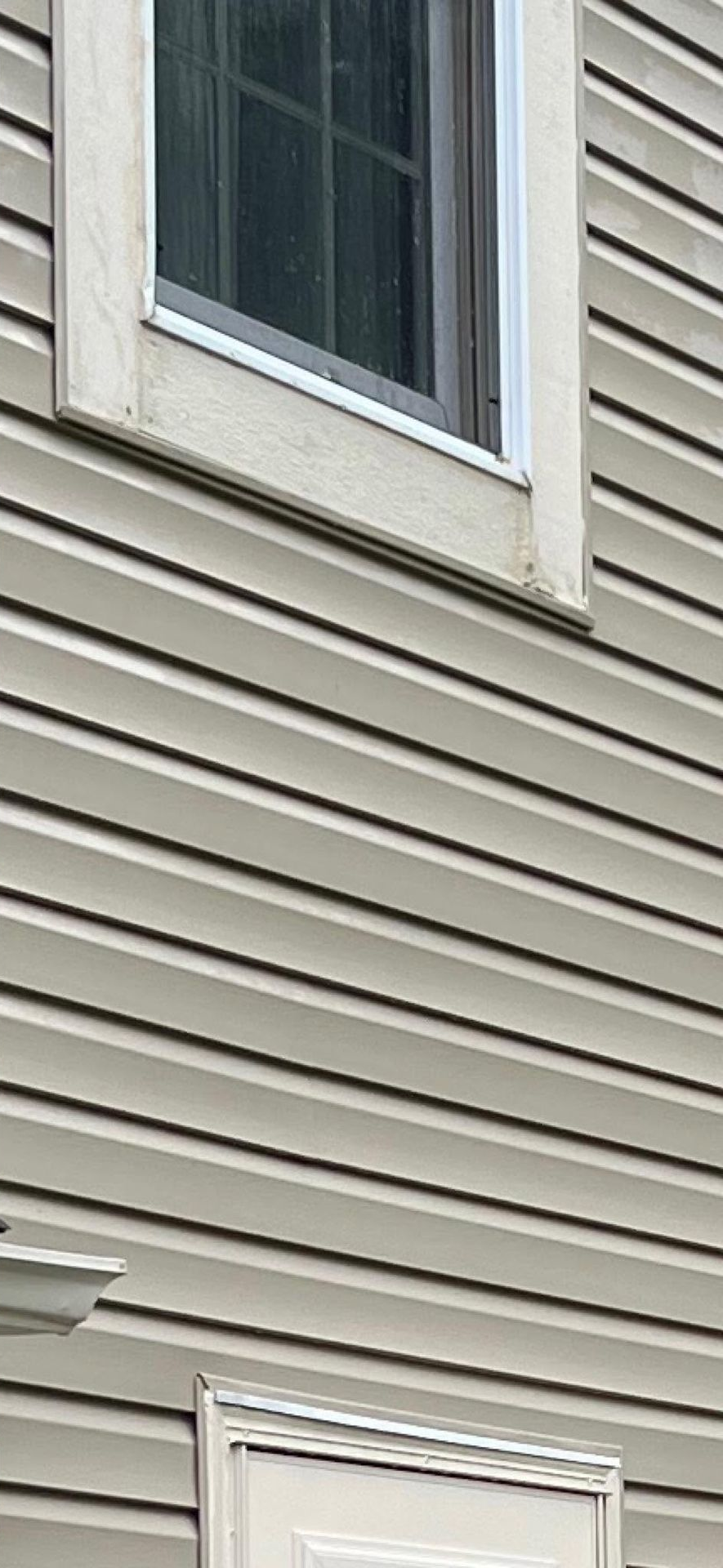 Gray vinyl house siding with a white-framed window and trim.