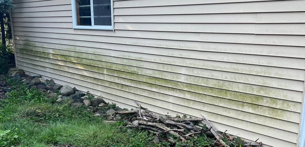 Side of a house with white siding, a window, and overgrown grass along the foundation.