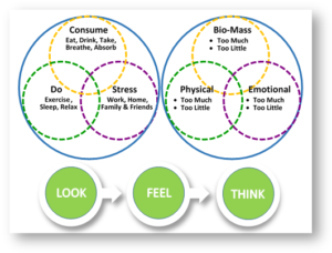 holistic medicine nutshell