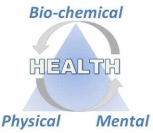 Holistic Health Clinic Triangle of Health