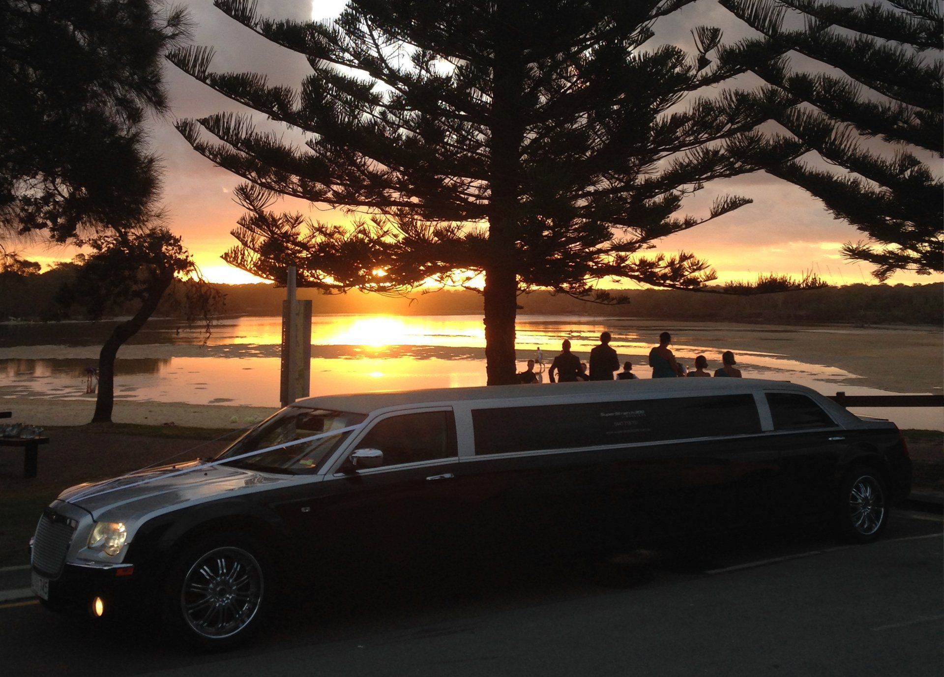 A Silver Car With Pink Ribbons on the Hood is Parked in the Grass — Superstretch300 Limousines in Caloundra, QLD