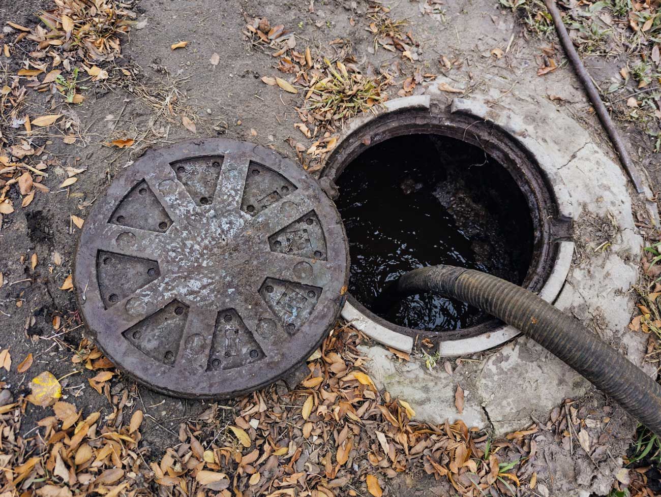An open septic tank manhole with a vacuum pump hose inserted into the liquid waste, surrounded by fallen leaves on dirt.