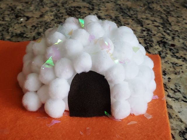 grade 5 igloo project