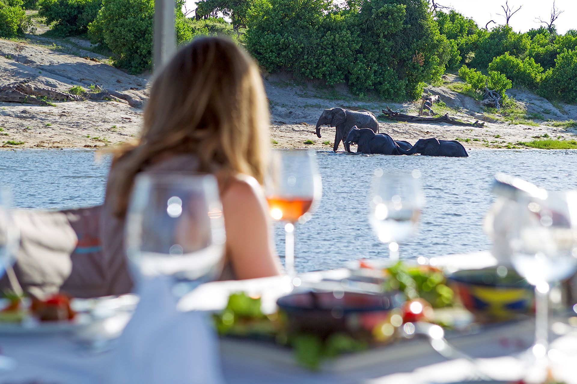 Traveler watching elephants during a guided safari experience