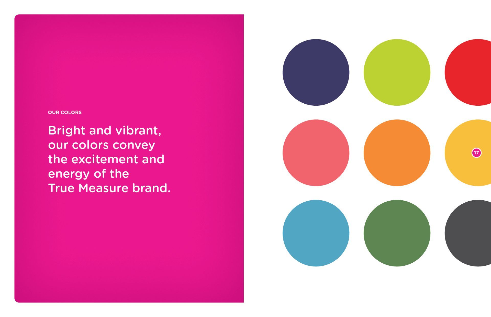 Bright and vibrant , our colors convey the excitement and energy of the true measure brand.