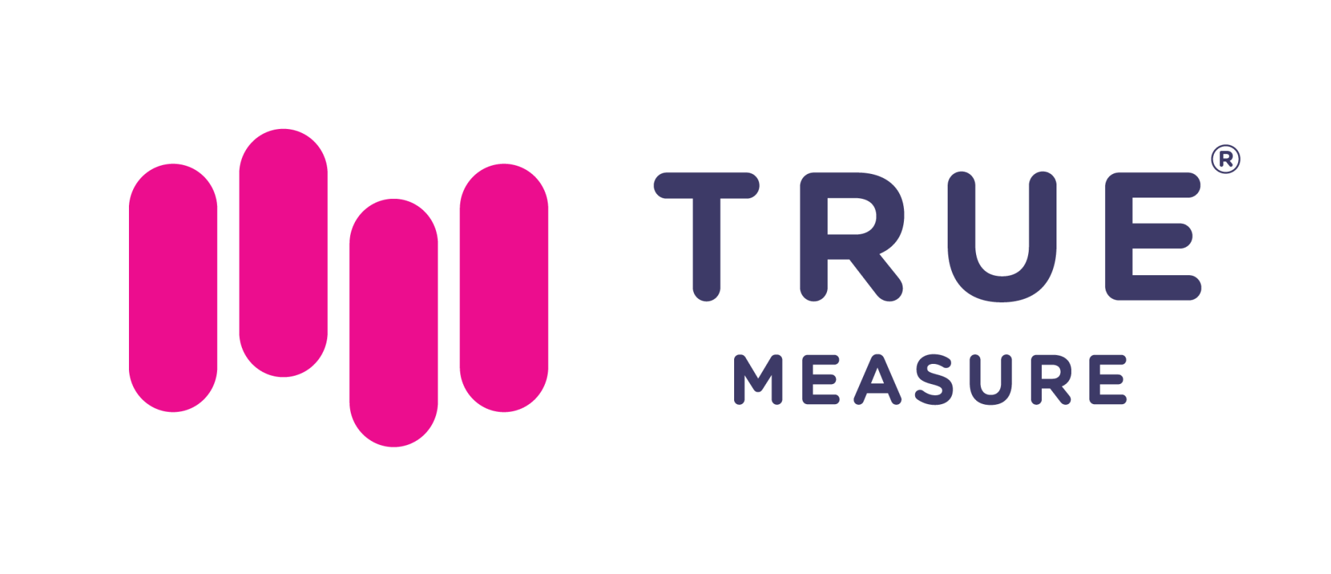 True Measure Logo True Measure Logo