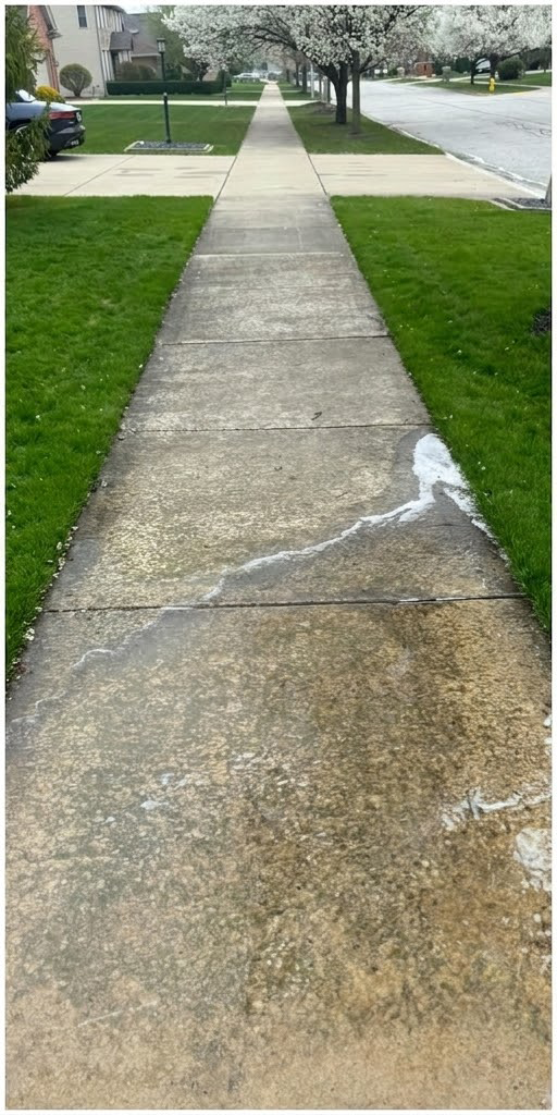 Cracked concrete sidewalk leading through a grassy neighborhood with trees and houses.