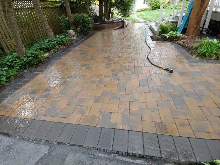 Brick-paved garden walkway with wet patches, bordered by plants and a hose across the path