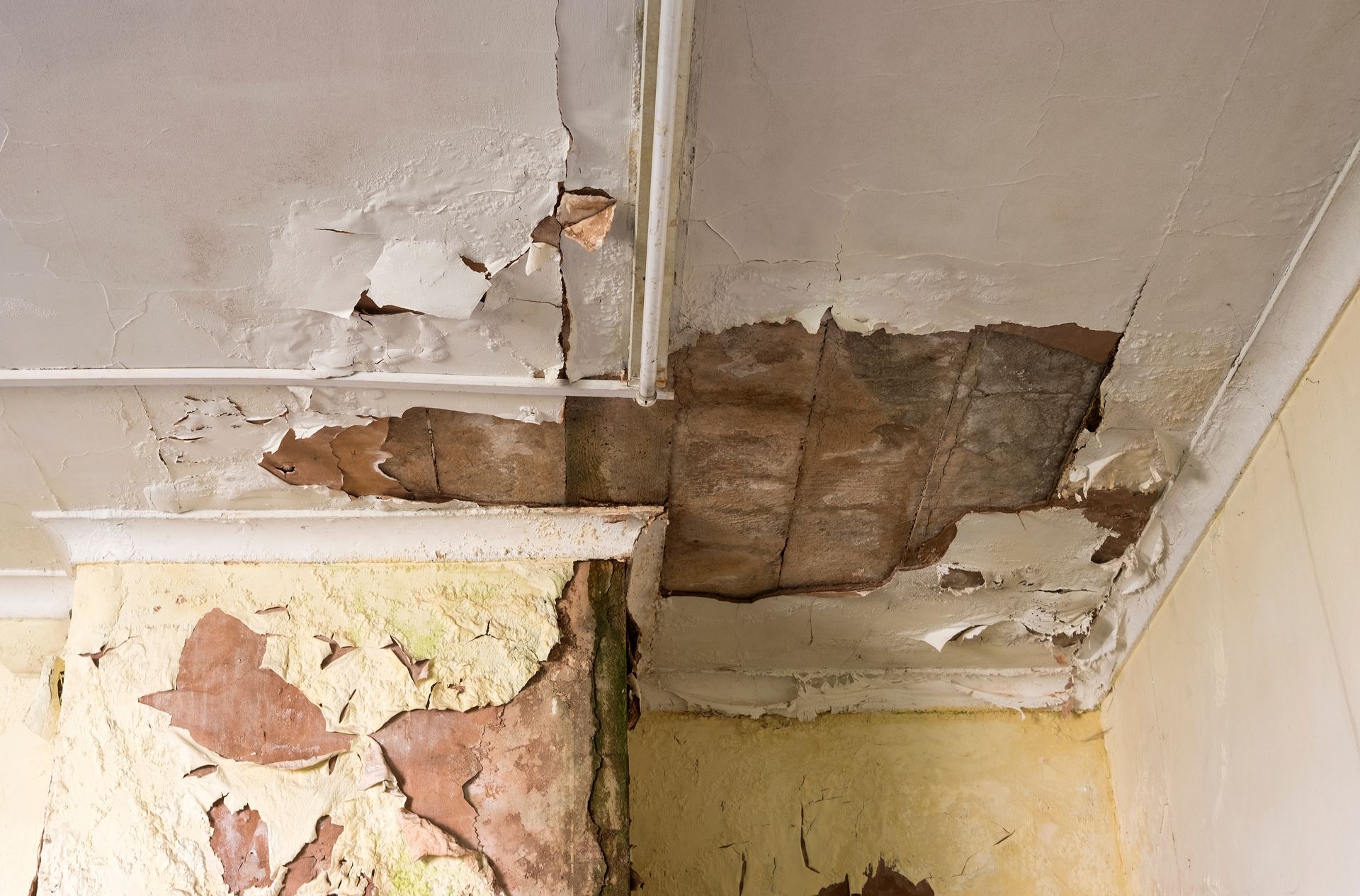 Damaged ceiling and wall with peeling paint, revealing the underlying structure.