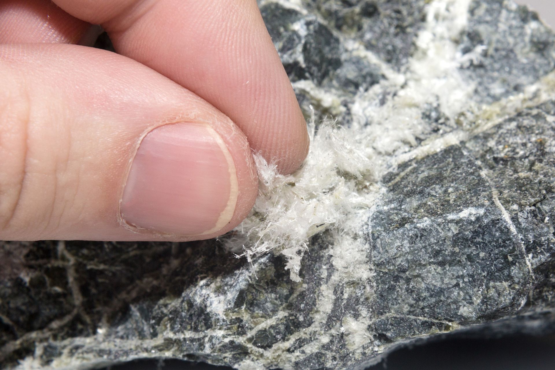 A finger touching white, fibrous material on a dark gray rock.