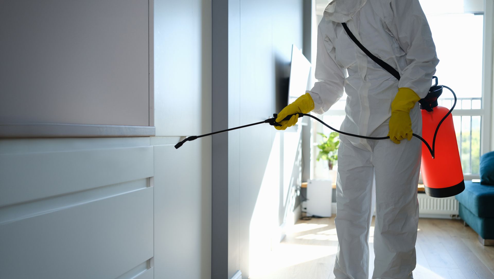 Person in protective suit spraying insecticide in a room with white cabinets and a blue sofa.