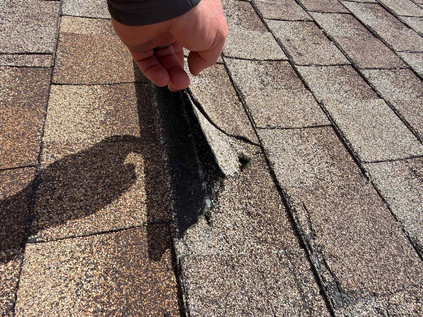 Inspection of an aging shingle roof in Zephyrhills, Florida showing a lifted and deteriorated shingle. The roof was original to the home's 2004 construction and showed signs of deterioration beyond a single isolated repair.
