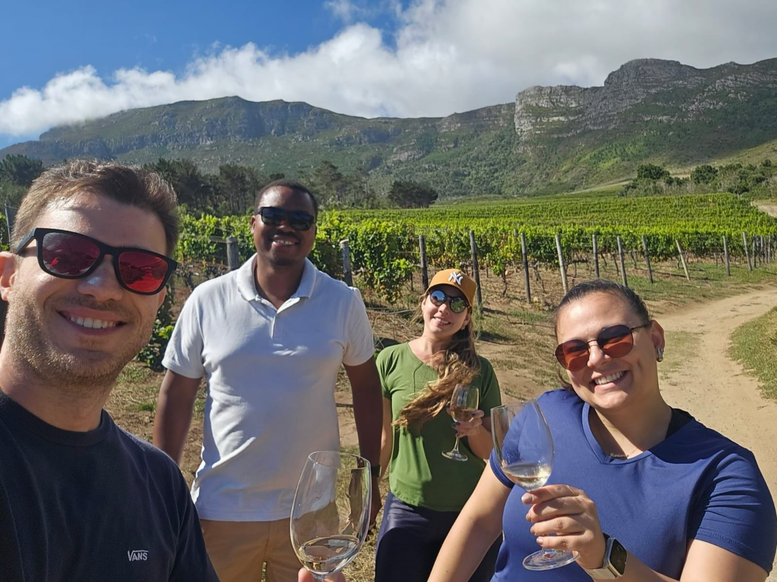 Four people smiling with wine glasses in a vineyard with mountains in the background. Sunny day.