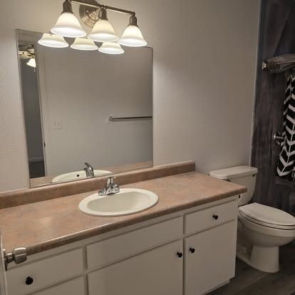 Bathroom with vanity, mirror, toilet, and shower curtain. White and pink tones.