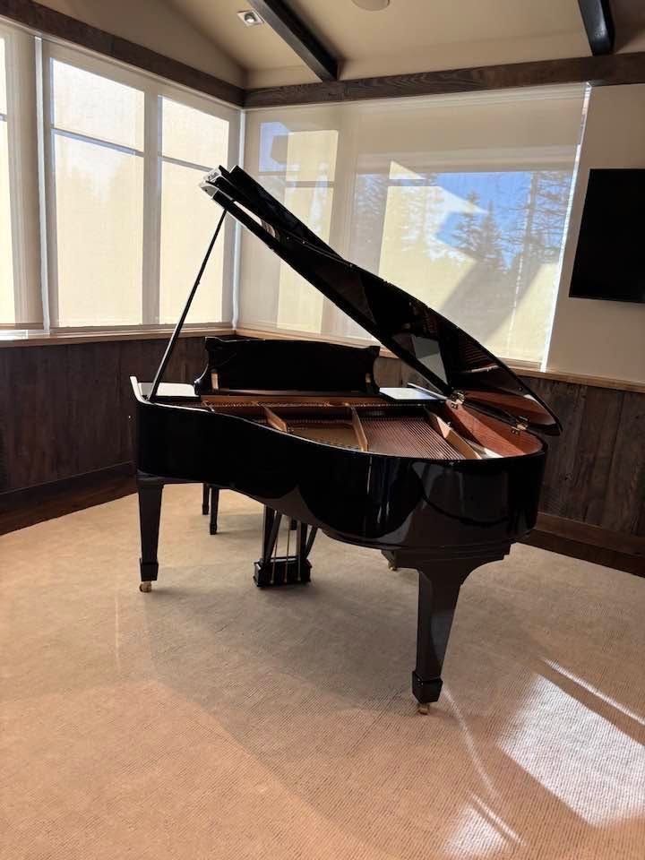 Black grand piano in a sunlit room with large windows and polished floor