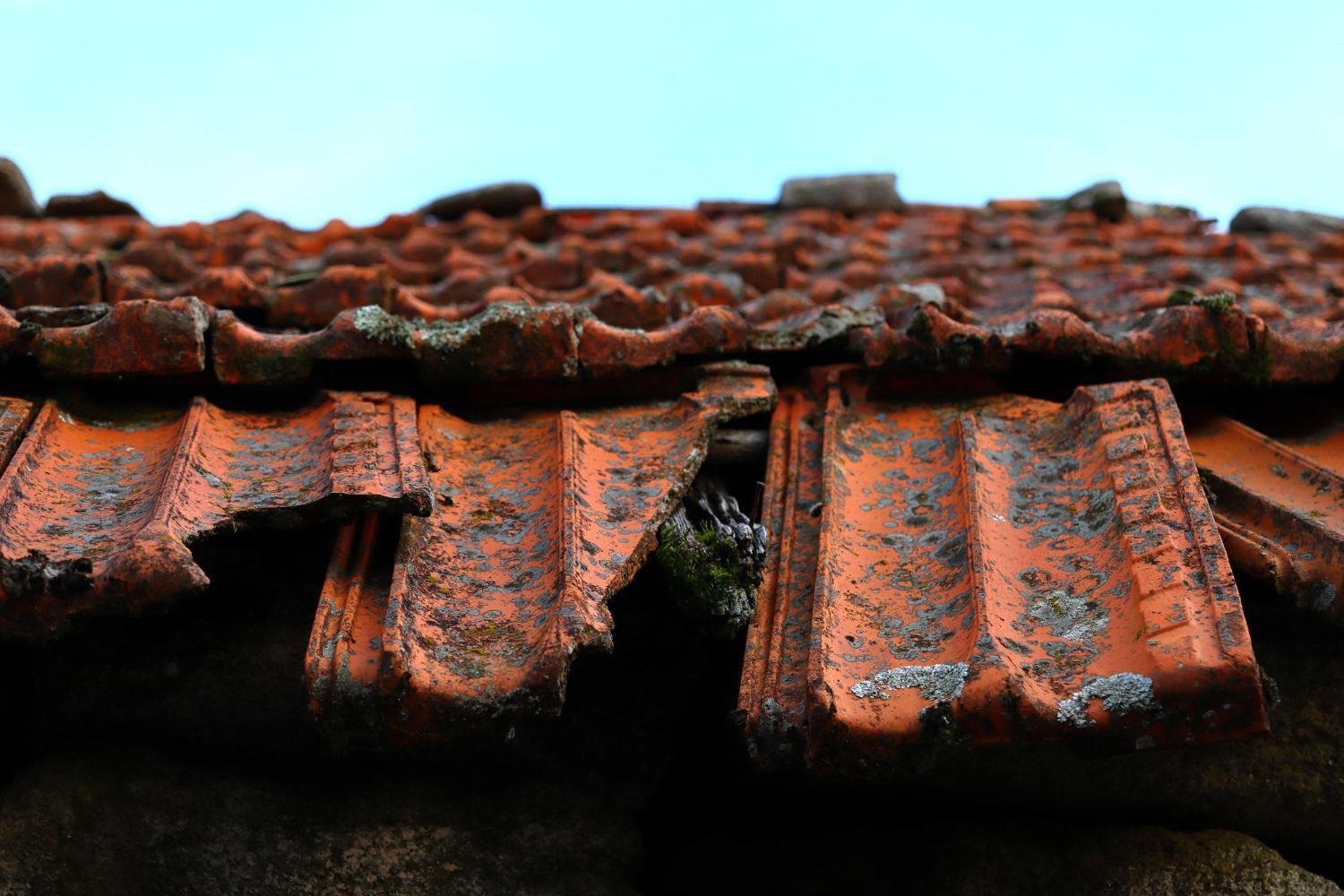 Storm Damaged Your Roof in Ft. Myers? Why You Should Call a Public Adjuster Before a Roofer