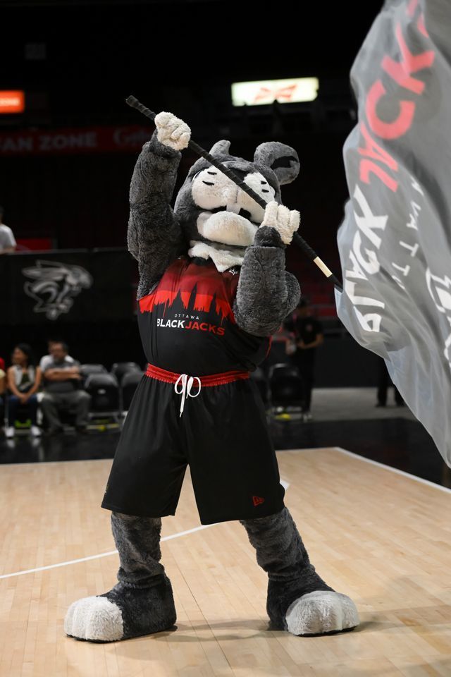 OG, the Ottawa BlackJacks mascot