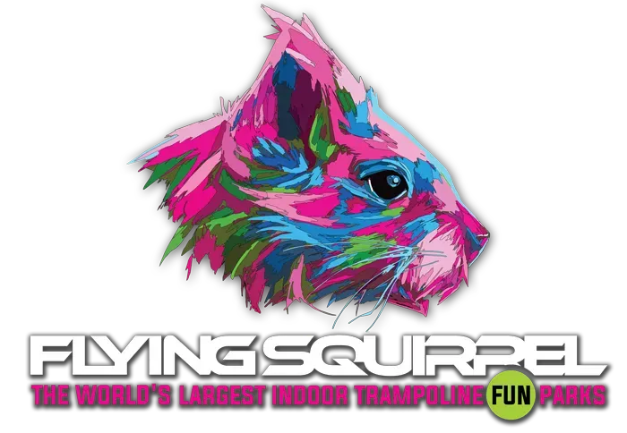 Flying Squirrel Ottawa