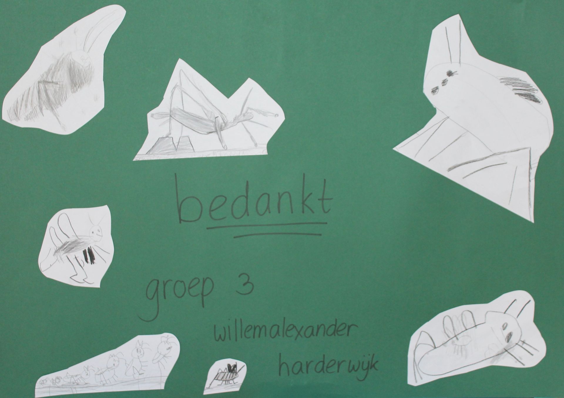 Een groen bord met tekeningen van sprinkhanen en het woord bedankt erop