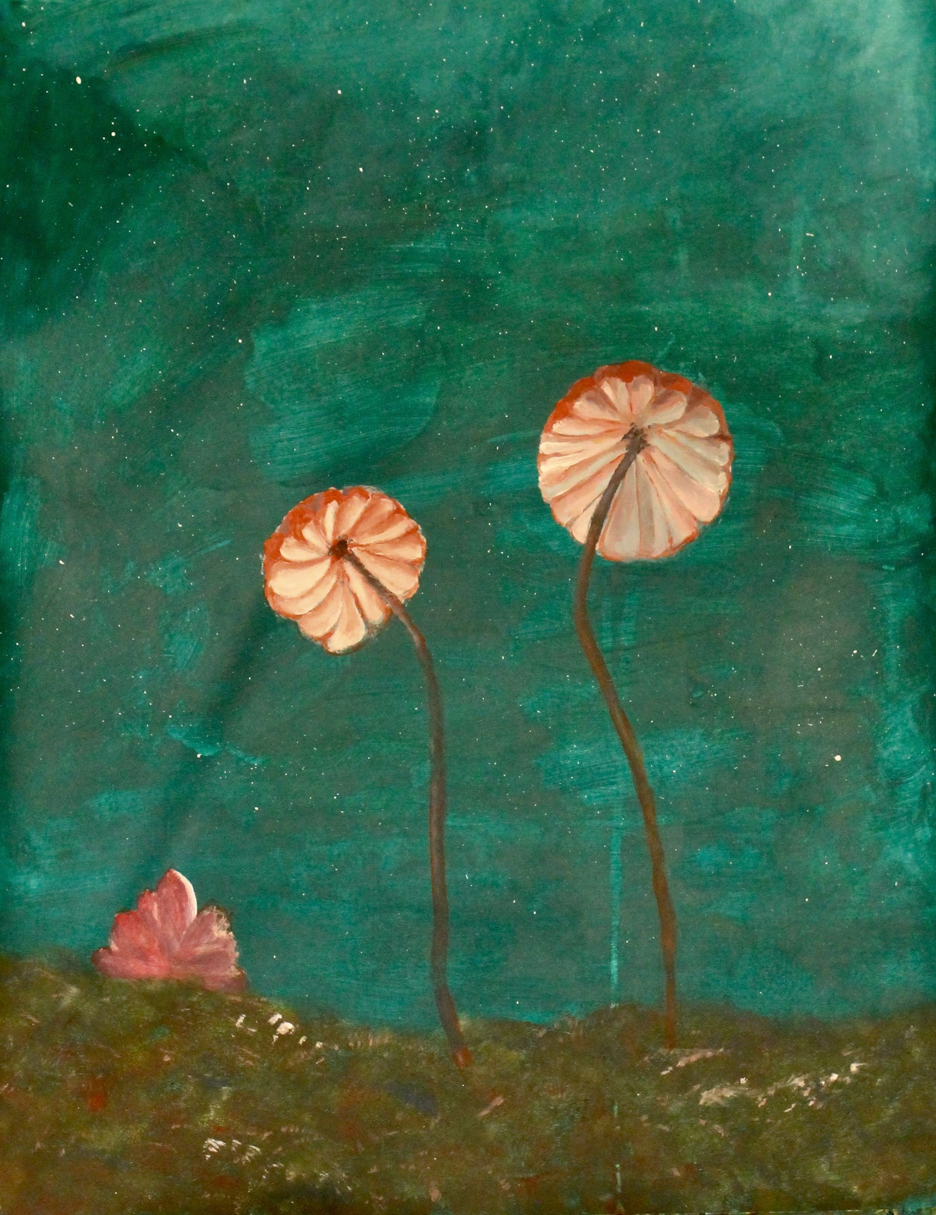 herfstworkshop in Harderwijk met paddestoelen