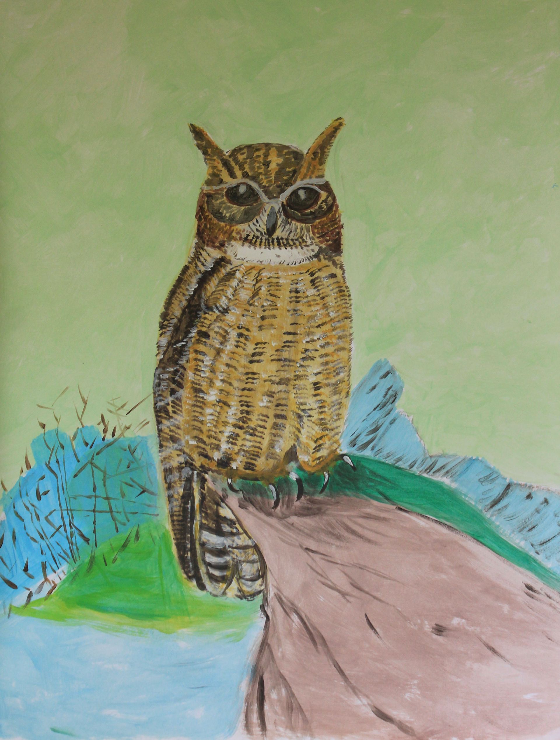 schilderij uil
