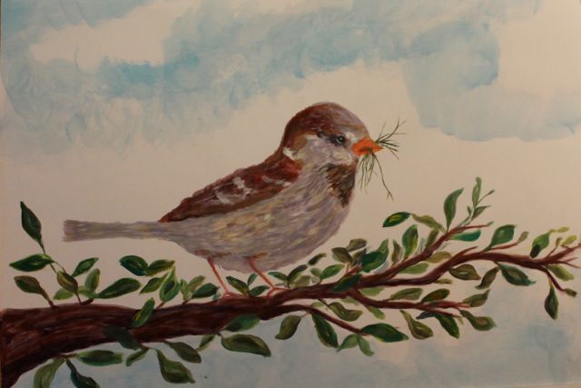 Schilderij van een vogel geschilderd door een deelnemer bij Studio MiSt in Harderwijk